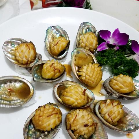 福建哪个城市产鲍鱼