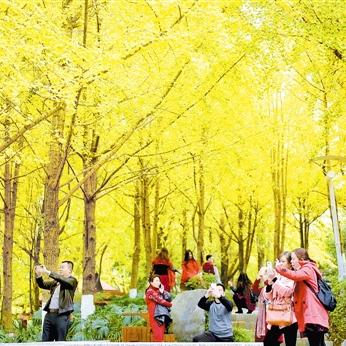 【桂林今日气温】2025年8月11日桂林气温是多少