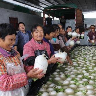 重庆太和怎么样