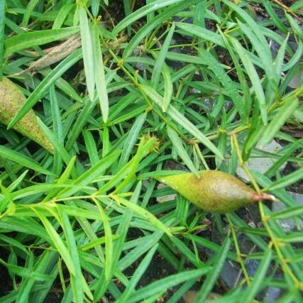 山西与河南哪个有钱