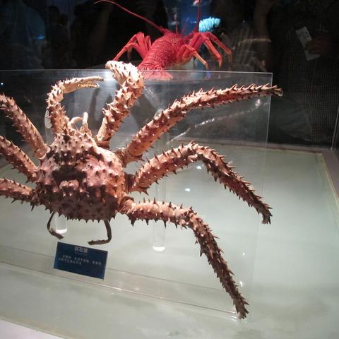 无锡市太湖闸的长尾关键词有哪些