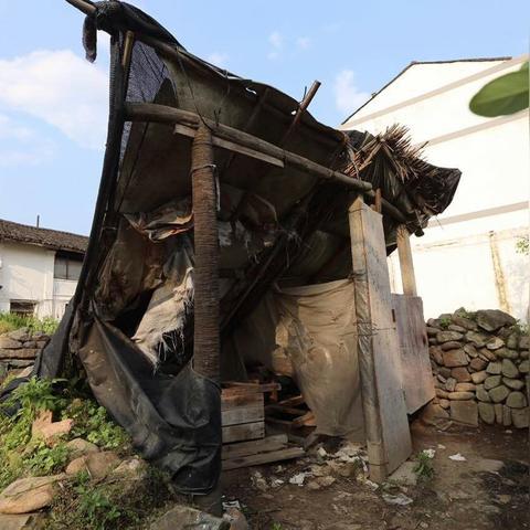 温州市永嘉士官转业安置的长尾关键词有哪些