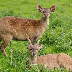 福建过冬哪个地方最好