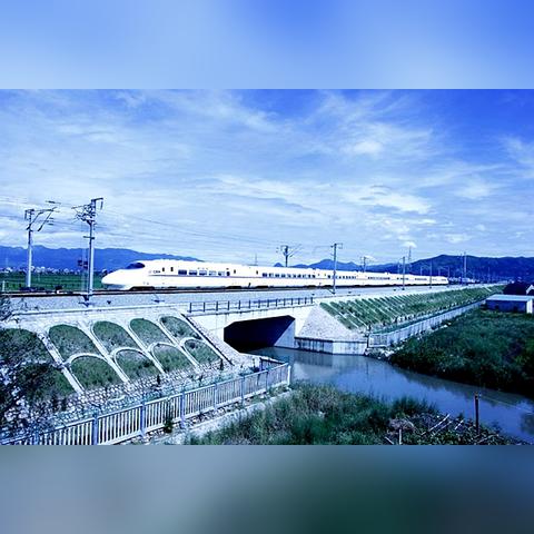 温州哪个地方靠近福建