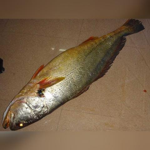 福建看不育的相关长尾关键词有哪些