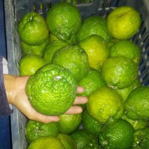 温州市哪里有卖氧气的