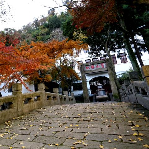 南通市科目二在哪里考试