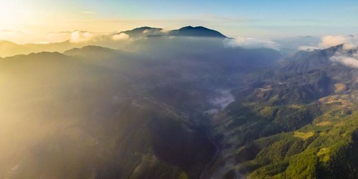 梦回深处，解密梦到爸爸妈妈被打的焦虑与情感共鸣