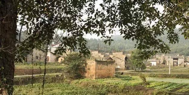 彭宝宝怎么起名(为什么河南介绍河南六大古都时说南阳是楚国发源地)