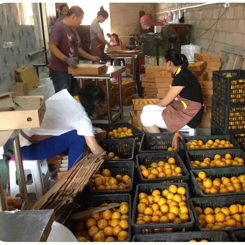 在南宁市一车水果垃圾怎么处理