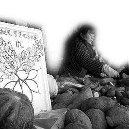 兰州市哪里买菜最好卖