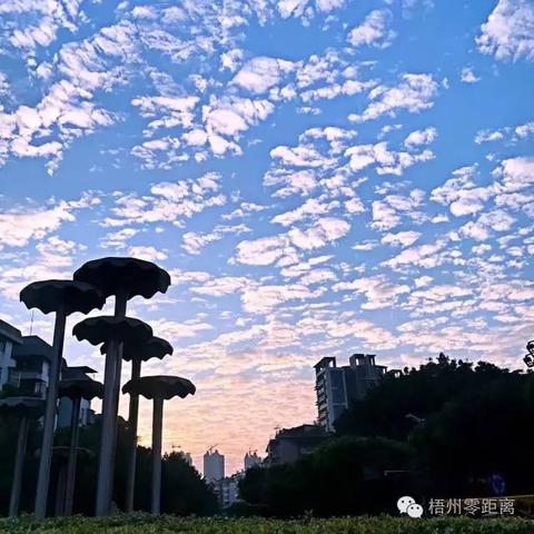 南宁下雪的村庄的相关长尾关键词有哪些