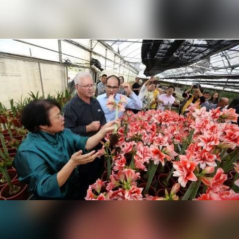 东莞市少儿艺术花会长安的长尾关键词有哪些