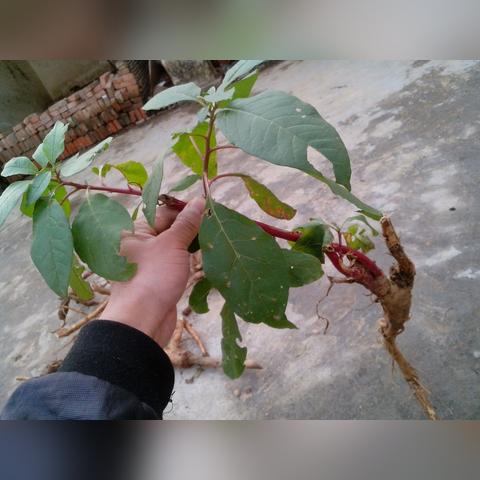 上海有哪些台湾超市