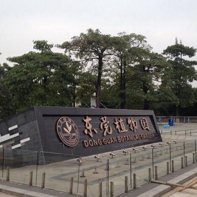 东莞市看风景哪里好玩