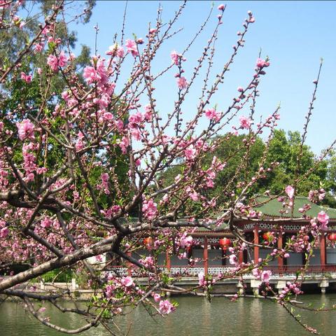 长沙一福州相关长尾关键词有哪些