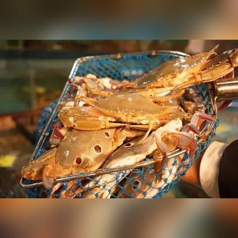 帝王蟹蒸多久.龙虾和帝王蟹蒸多久？