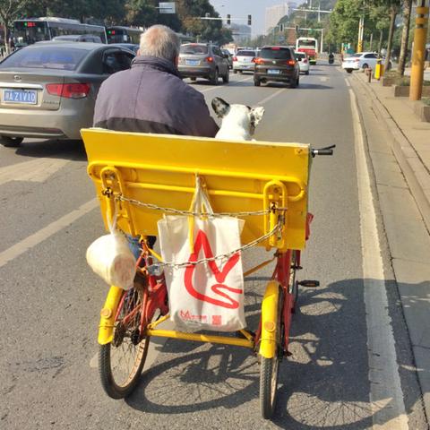 长沙狗吧相关长尾关键词有哪些
