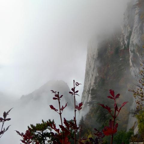 西安到华山最佳方案？