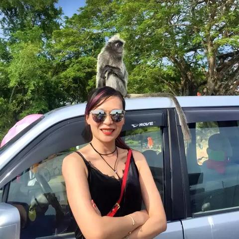 [苏州晨曦公司]长尾关键词有什么