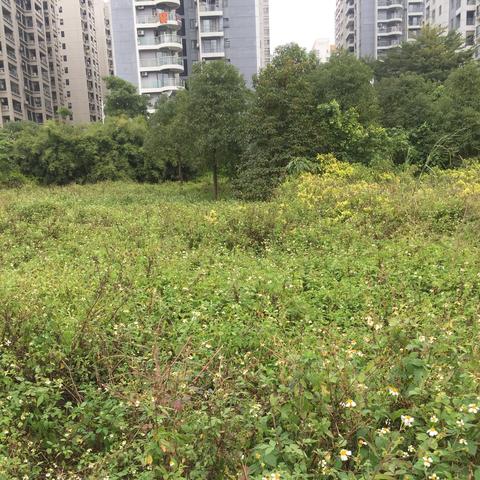 南宁人民公园有什么玩？