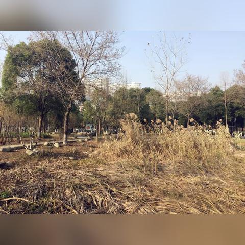 武汉市什么时候形成的
