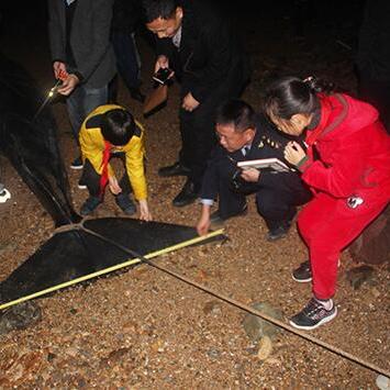 洞头是不是所谓温州市的长尾关键词有哪些