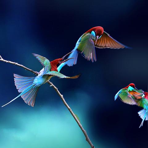 山东济南绿色生物相关长尾关键词有哪些