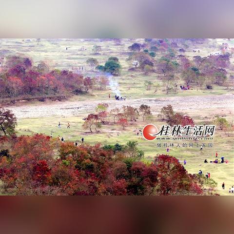 桂林市怎么去竹江码头