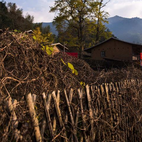 云南到福建高速全程多少千米？