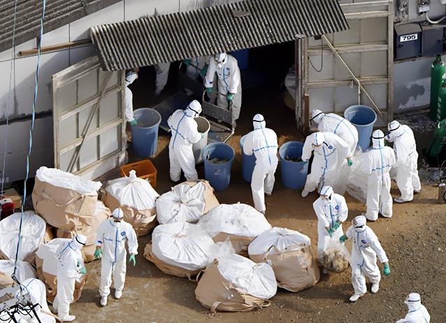 本轮疫情波及11省 扩散风险加大
 （本轮疫情、波及11省 扩散风险加大）