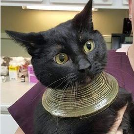 木工做木床工具视频百度长尾关键词有哪些