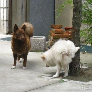 余姚一日游河南的相关长尾关键词有哪些