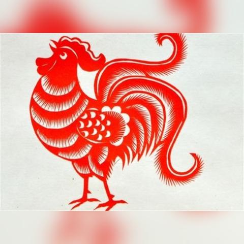 未来10年生肖运势(未来十年属相)