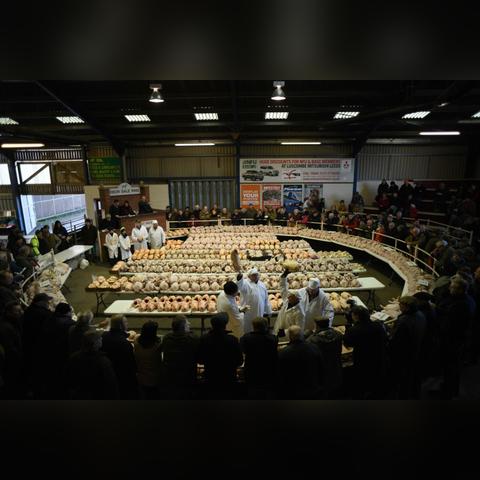 9月23日生肖鸡运势查询(2021年9月23日今日生肖运势)