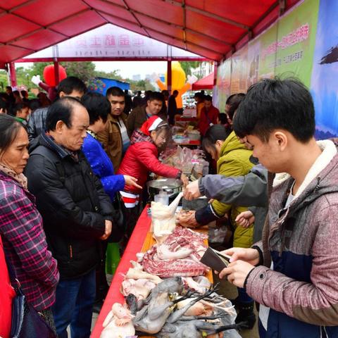 南宁市金桥客运站哪个区