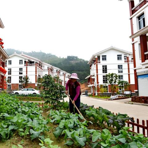 2012福建高考成绩的相关长尾关键词有哪些
