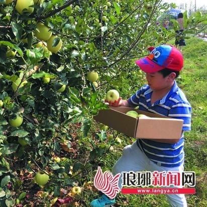 山东临沂市饲料经销商的长尾关键词有哪些