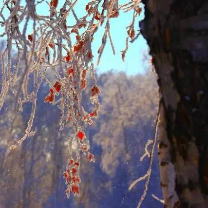 哈巴河县天气预报的长尾关键词有哪些