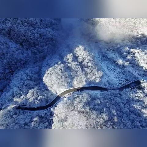 哈尔滨市遇雪天气情况怎么样