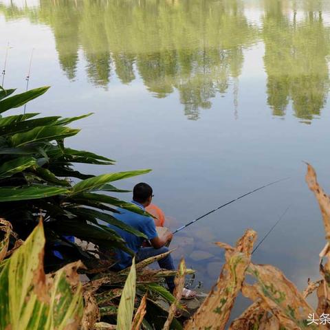 温州市龙湾区哪里有美女