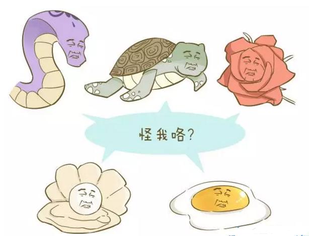 梦见蛇爬在自己身上而没有受伤，潜意识中的警示与启示