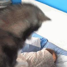 桂林市加班工资计算相关长尾关键词有哪些