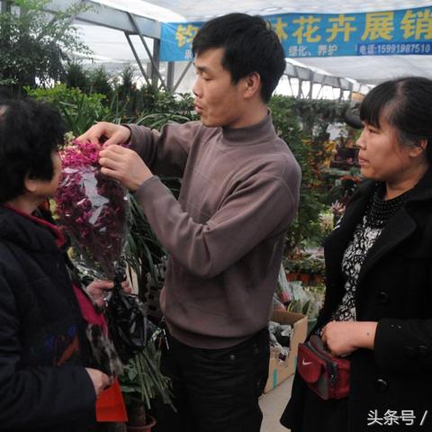 从西安市到郏县怎么坐车