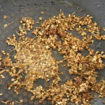 成都市土豆麻麻火锅店的长尾关键词有哪些