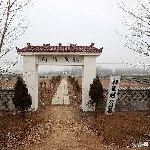 淮阳是河南哪个市？