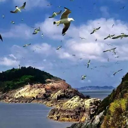 元旦温州市哪里有活动