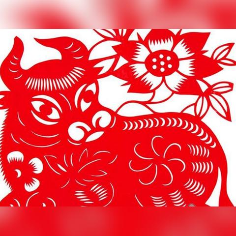 生肖牛今年运势如何(生肖牛今年运势查询)