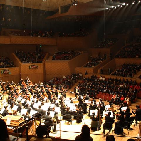 哈尔滨酒吧33楼事件相关长尾关键词有哪些