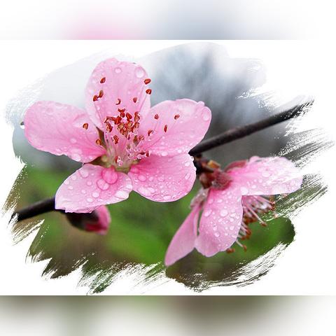 从生辰八字窥探你的独特魅力